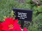 image of grave number 914416